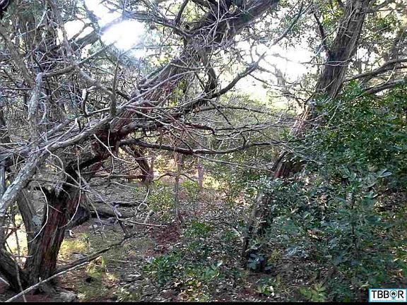 3rd image of 16034 Salado Dr