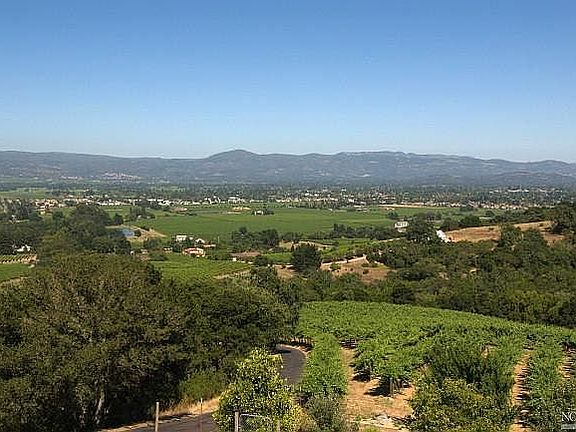 Vineyard with valley views