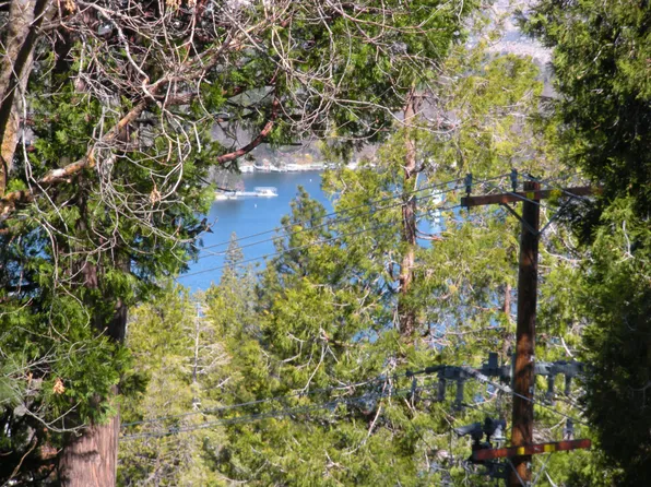 29194 Lakeview Dr, Cedar Glen, CA 92321