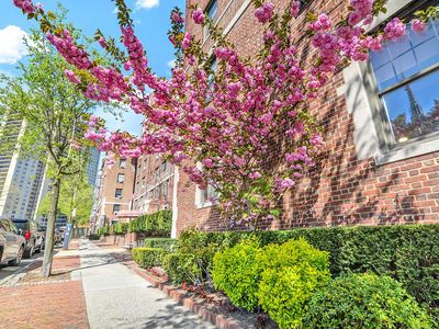 10914 Ascan Ave APT 1F, Flushing, NY, 11375