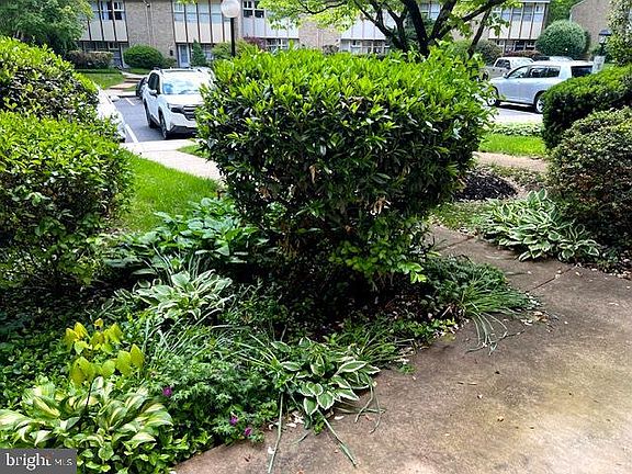 2nd image of 4420 Forest Glen Ct