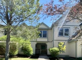 3 Newfane Cir #C, West Dover, VT 05356