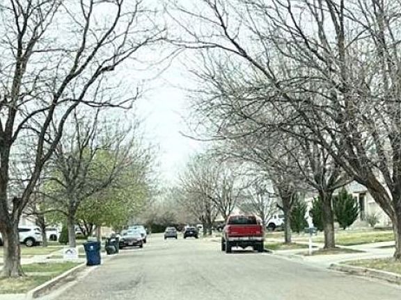 4th image of 3811 Bison Ln