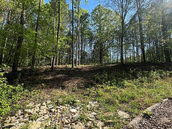3rd image of LOT 4 Battle Ridge Dr