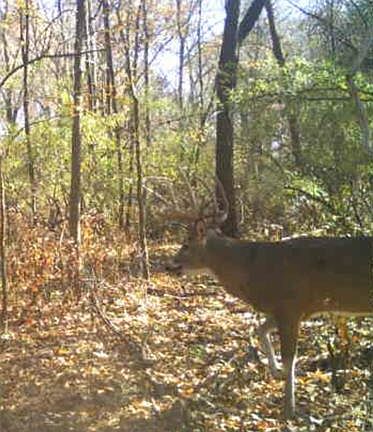 5th image of 8206 Eakin Grove Rd
