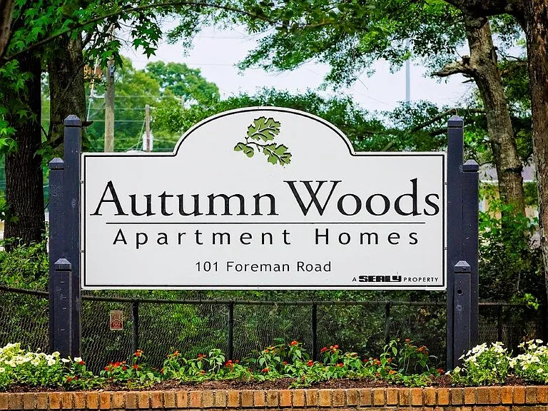 Autumn Woods — Photo 18