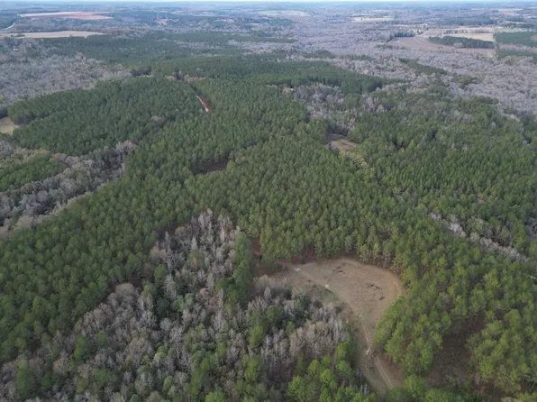 0 County Road 6650, Banks, AL 36005