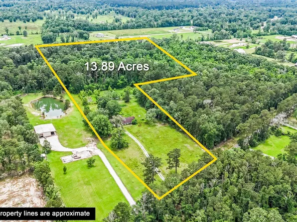 17932 Watts Rd, Livingston, LA 70754