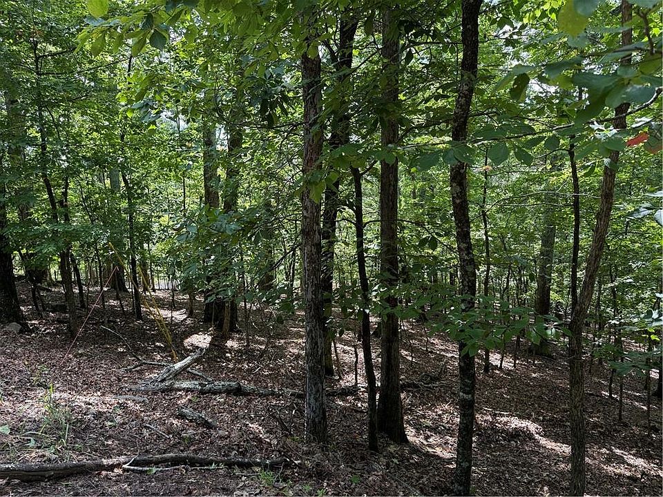 1st image of 117 Tulip Tree Ct #173