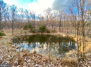 Bobcat Hollow Rd LOT 37, Romney, WV 26757