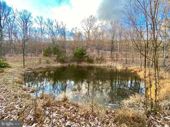 Bobcat Hollow Rd Lot 37, Romney, WV 26757