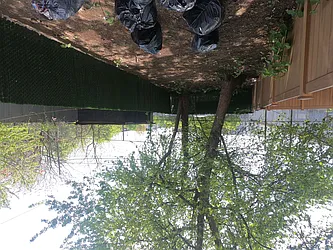 Rented by Lofts and Flats LLC