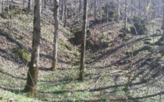 4th image of T-short Lane
