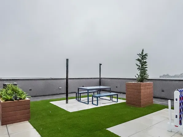 974 Carroll Street image 20 of 59