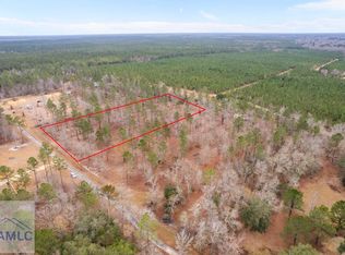 TRACT 2 Loggan Ln, Jesup, GA 31546