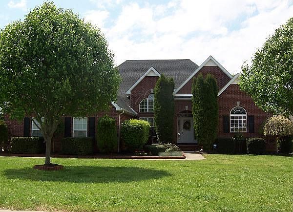 Landscaped yard