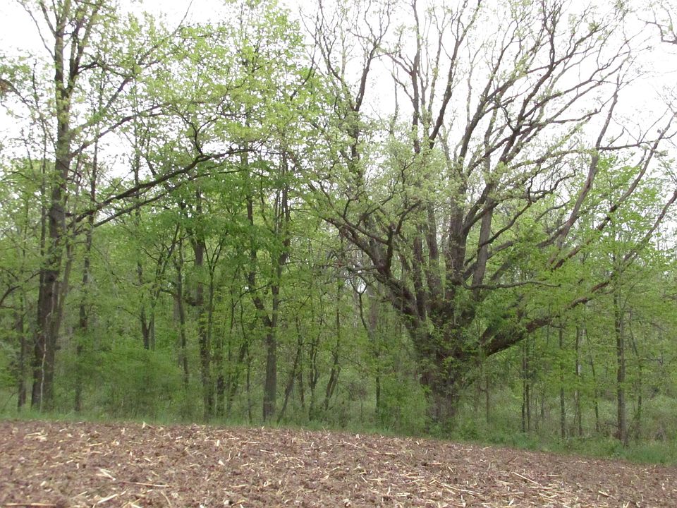 1640 S Lima Center Rd, Chelsea, MI 48118 Zillow