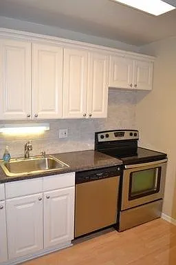 1455 N Sandburg Ter #308 — Photo 7