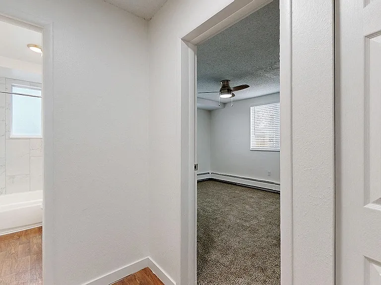 South Reed — Photo 34