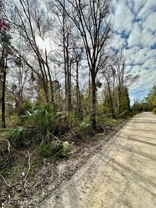 621 SW 645th Ave, Horseshoe Beach, FL, 32648