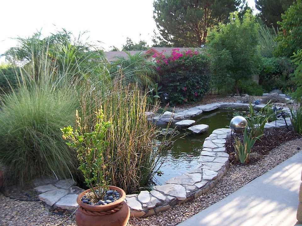 Fish Pond