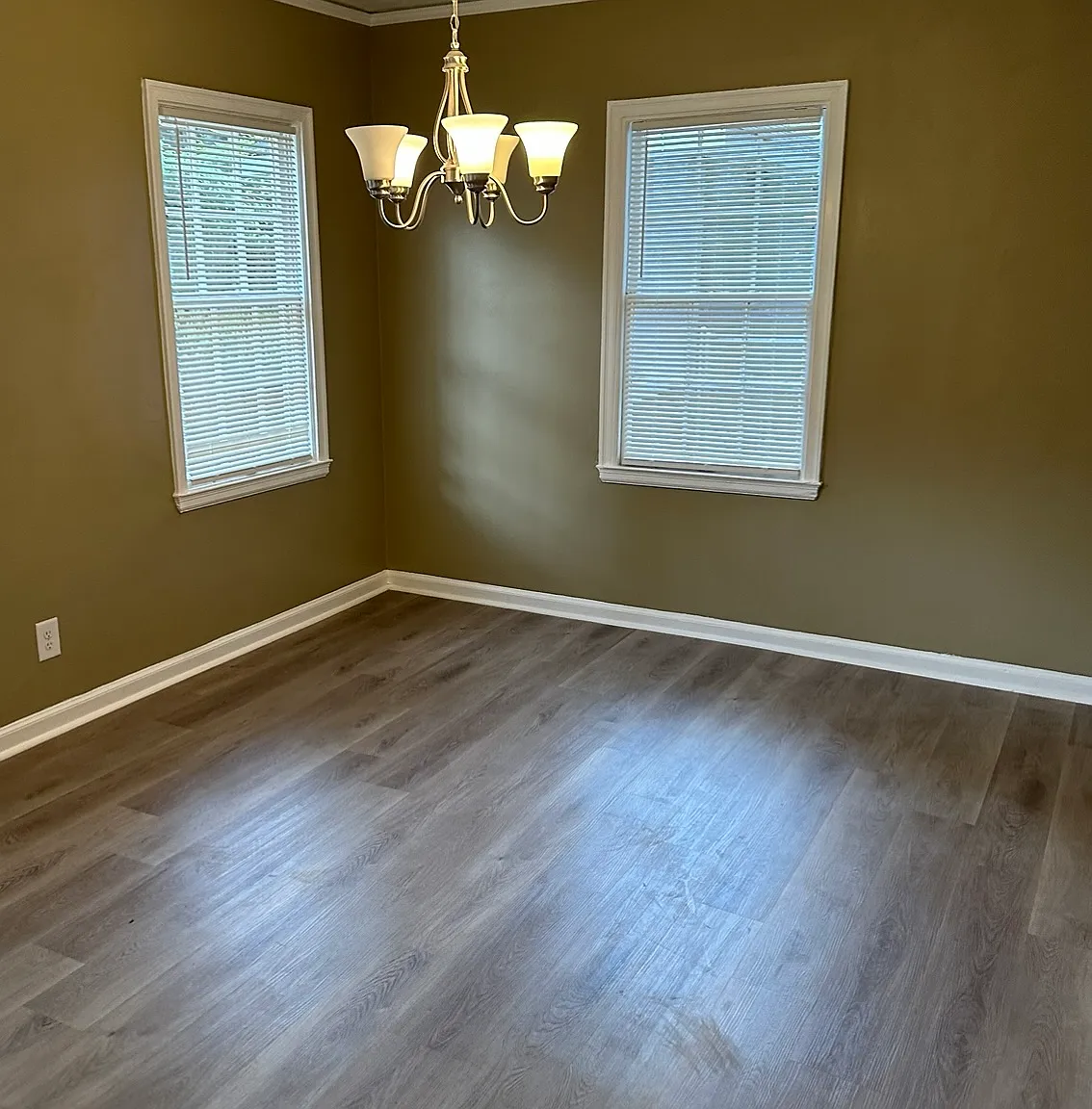 2224 Camille Dr — Photo 3