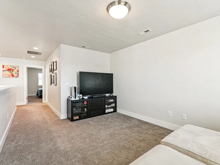 large loft/bonus room