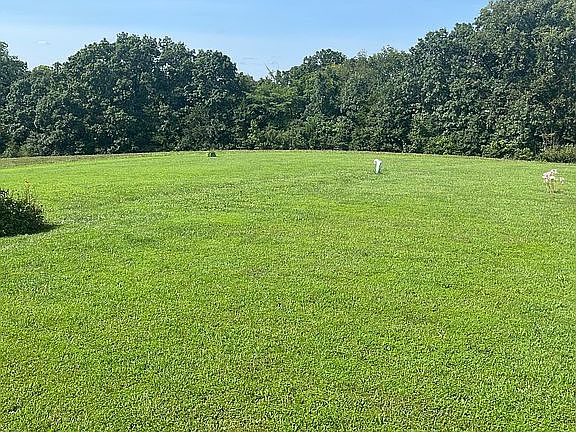 2nd image of 8784 Copperhead Rd