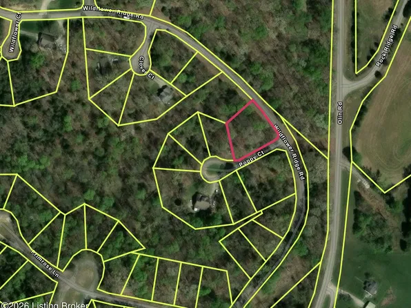 881 Wildflower Ridge Rd, Brandenburg, KY 40108