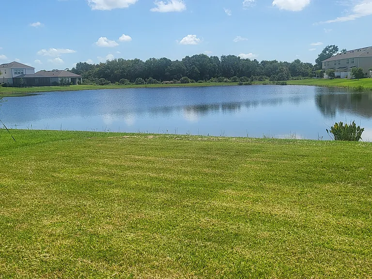 15076 Shady Palms Ln — Photo 7