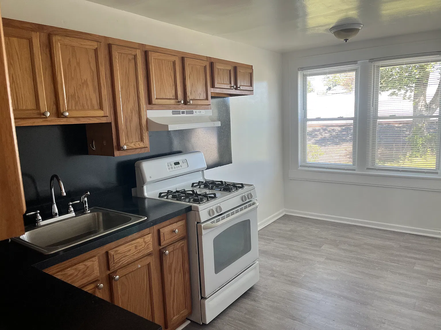 1 bed, 700 sqft, $1,125 — Photo 3