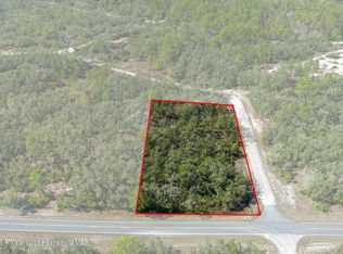 0 Short Stone Dr, Webster, FL 33597