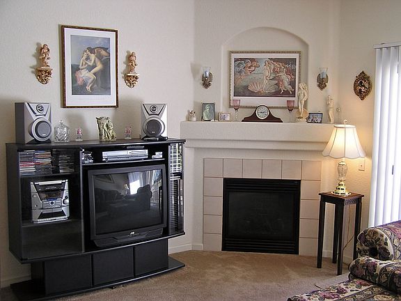 Gas Fireplace in living room.