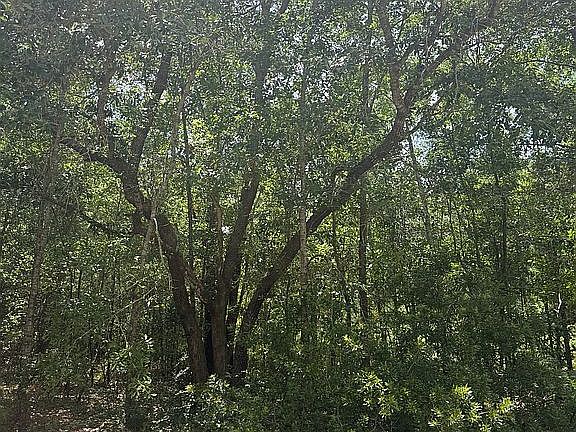 4th image of LOT 27 Mill House Rd
