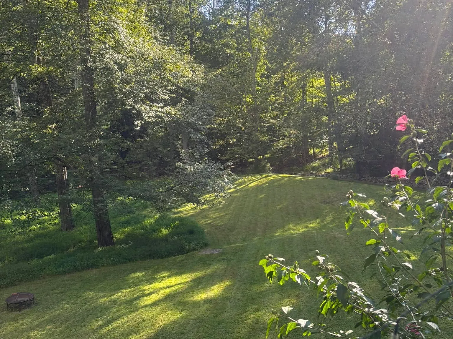 2 bed, 1200 sqft, $900 — Photo 3