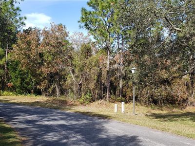 49 Golfview Dr, Homosassa, FL, 34446