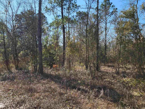 0 Kingsland Dr, Folkston, GA 31537