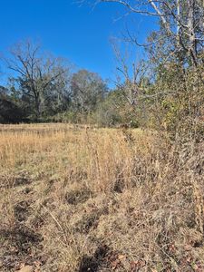 3195 Curtis Mixon Rd, Gordon, AL, 36343