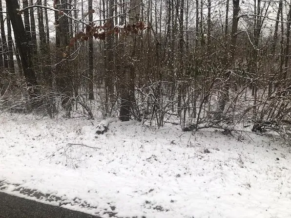 1005 Crown Point Dr, Weidman, MI 48893