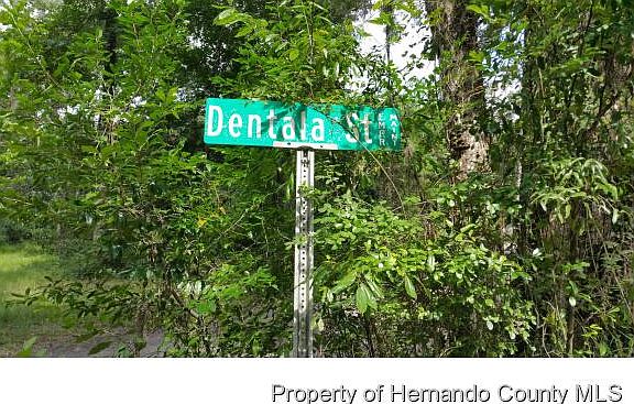 5th image of Dentala St