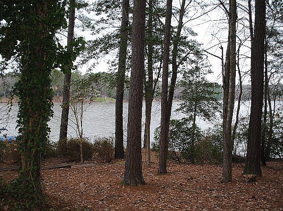 2nd image of 1356 Virginia Cir