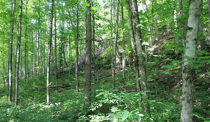 East Boundary