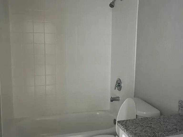 2539 Cedar Cypress Ct — Photo 11