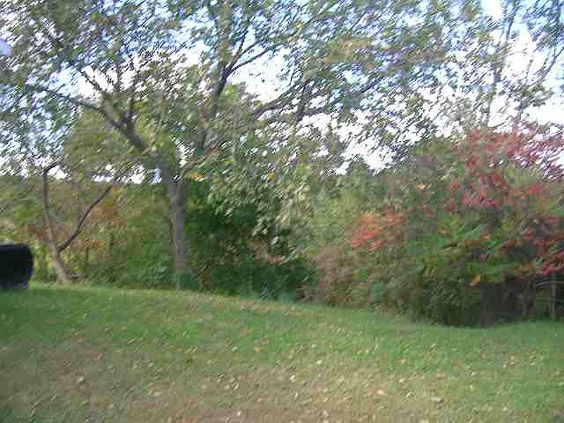 3rd image of 1929 TAMARAC Road