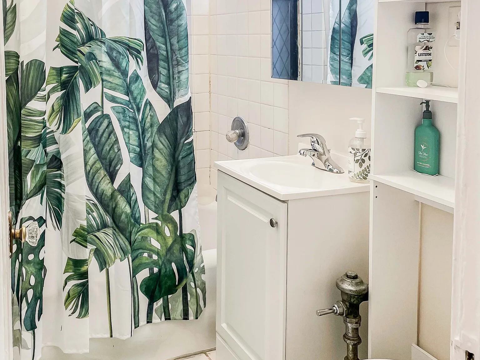 Studio, $1,495 — Photo 4