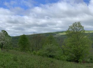 Betty Brook Rd, South Kortright, NY 13842