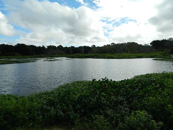 3rd image of 106 Little Orange Lake Dr