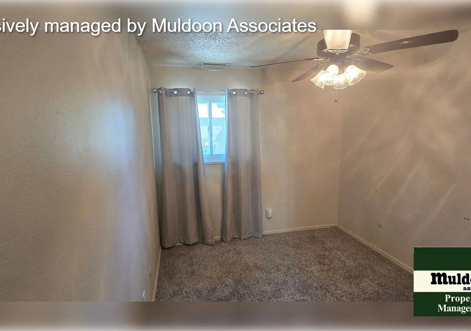 Updated Belmont condo ready now! — Photo 4