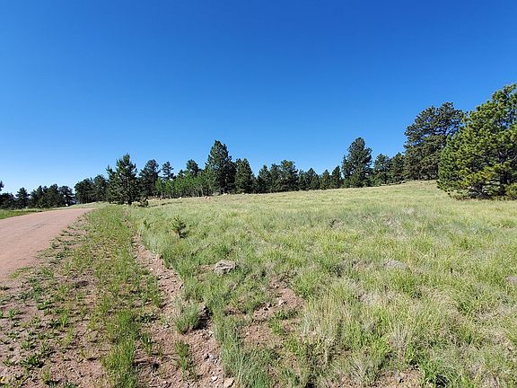 3rd image of 383 Castle Mountain Dr