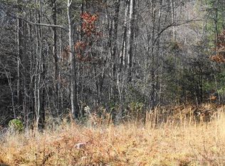 114 Beaverdam Loop Rd, Candler, NC 28715